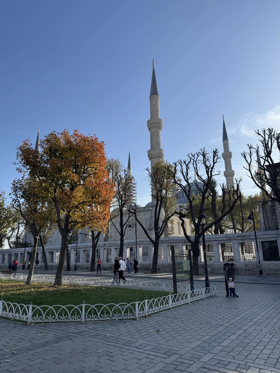 Спасибо большое за первое знакомство с Стамбулом! Детям очень понравилось, особенно кормление чаек! 🥰