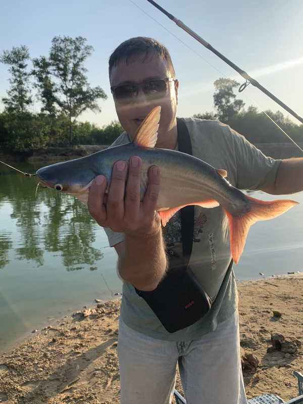Озёрная рыбалка на Фукуоке - утром или вечером