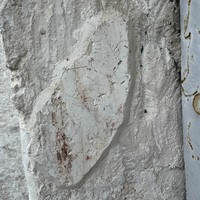 Фото отзыва 3: экскурсия "Древняя Кидекша: колыбель Руси белокаменной"