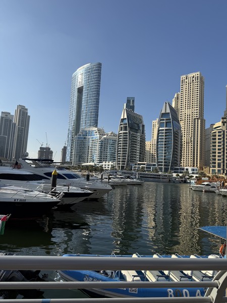 Отличная экскурсия! Посмотрели много интересных локаций, послушали об истории ОАЭ и просто классно провели время