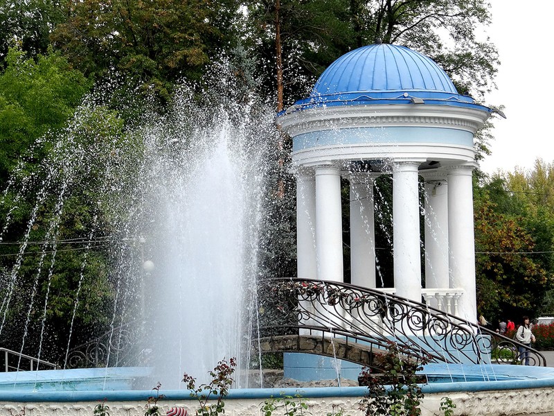 Волжский: фотоохота на сусликов