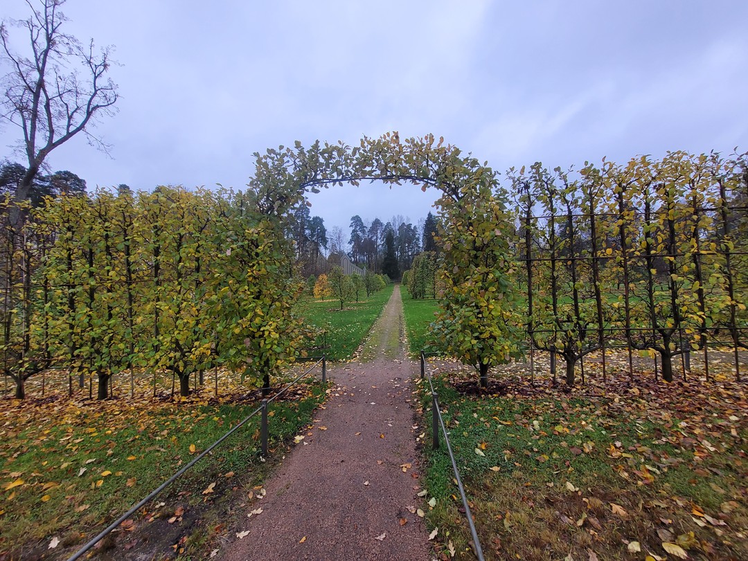 Великолепная экскурсия!!! Экскурсовод Ольга просто потрясающая! Как же интересно рассказывала! Я как буд-то сама жила в