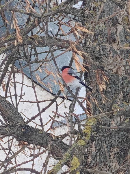 Все отлично, много что увидили и узнали
