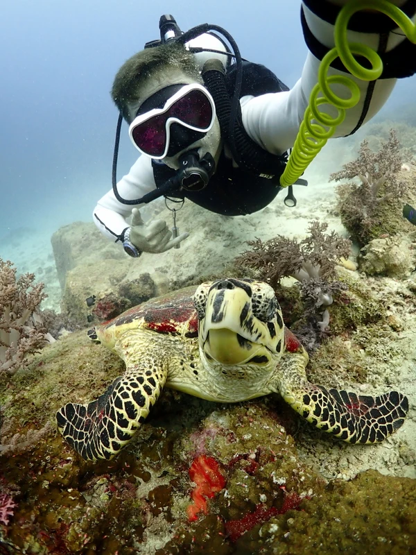 Дайвинг на Пхукете - для новичков и не только (всё включено)