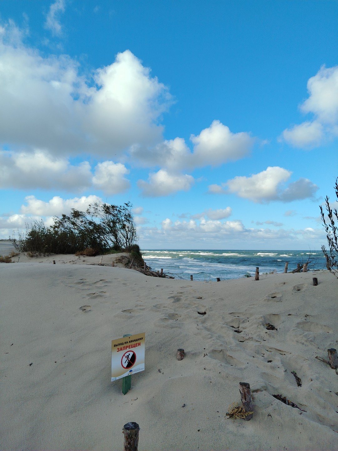 Комфортная поездка на Куршскую косу (Ольга)