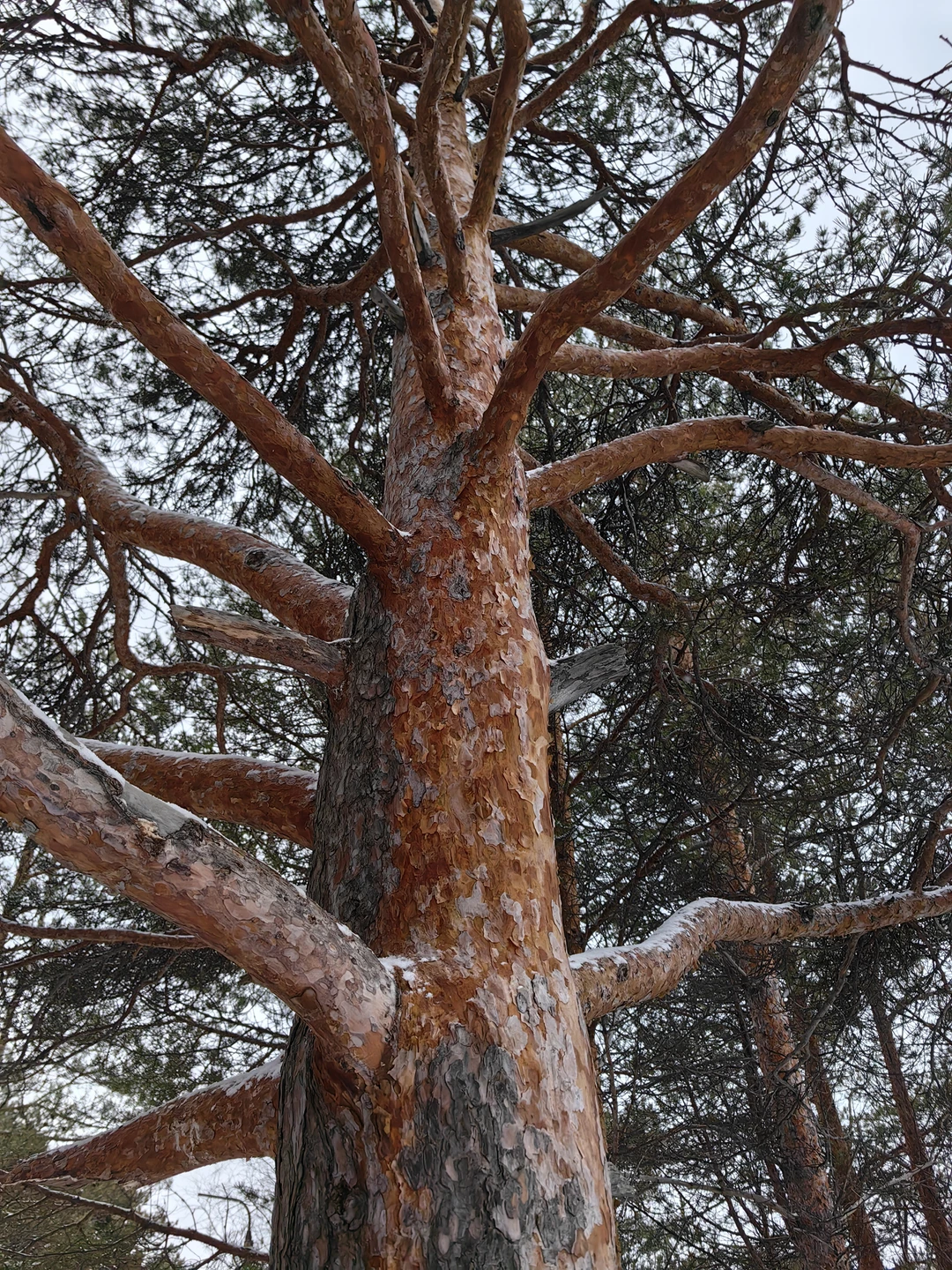 Чудесная поездка! Огромное спасибо Сергею за столь интересный рассказ! Прекрасный маршрут, который позволил отдохнуть душой и