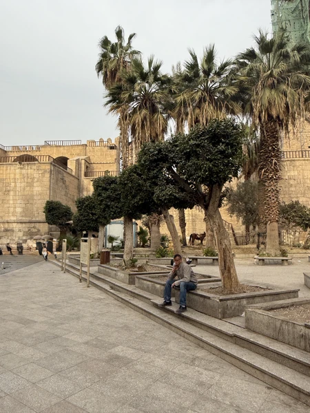 Имад, отличный гид. изначально при бронировании договорились заменить музей на прогулку по Каиру. получился незабываемый день,