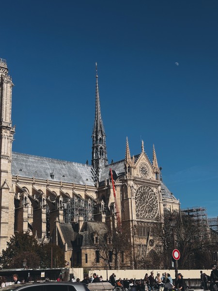 Вчера была на экскурсии по Латинскому Кварталу с Ларисой, получила большое удовольствие от красоты района, от