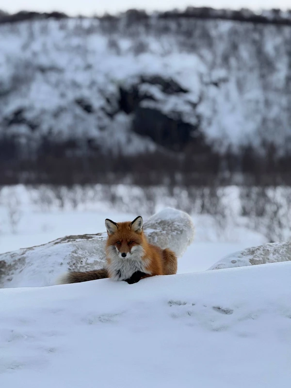 Териберка без спешки