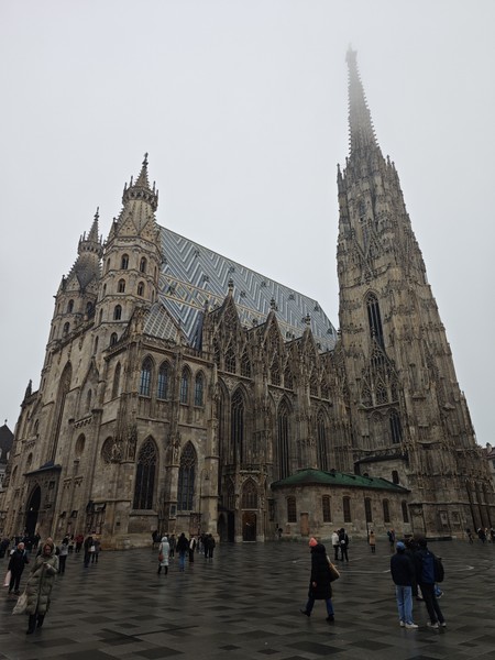 Вчера посещали Вену впервые и обратились к экскурсоводу Виктору, который очень интересно рассказал и показал нам