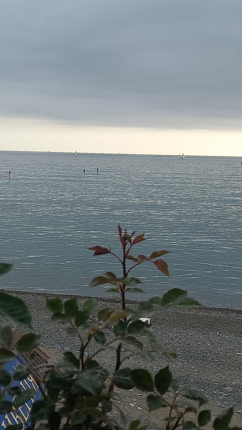 Вкусный Сочи: историко-гастрономическая прогулка (Ирина)