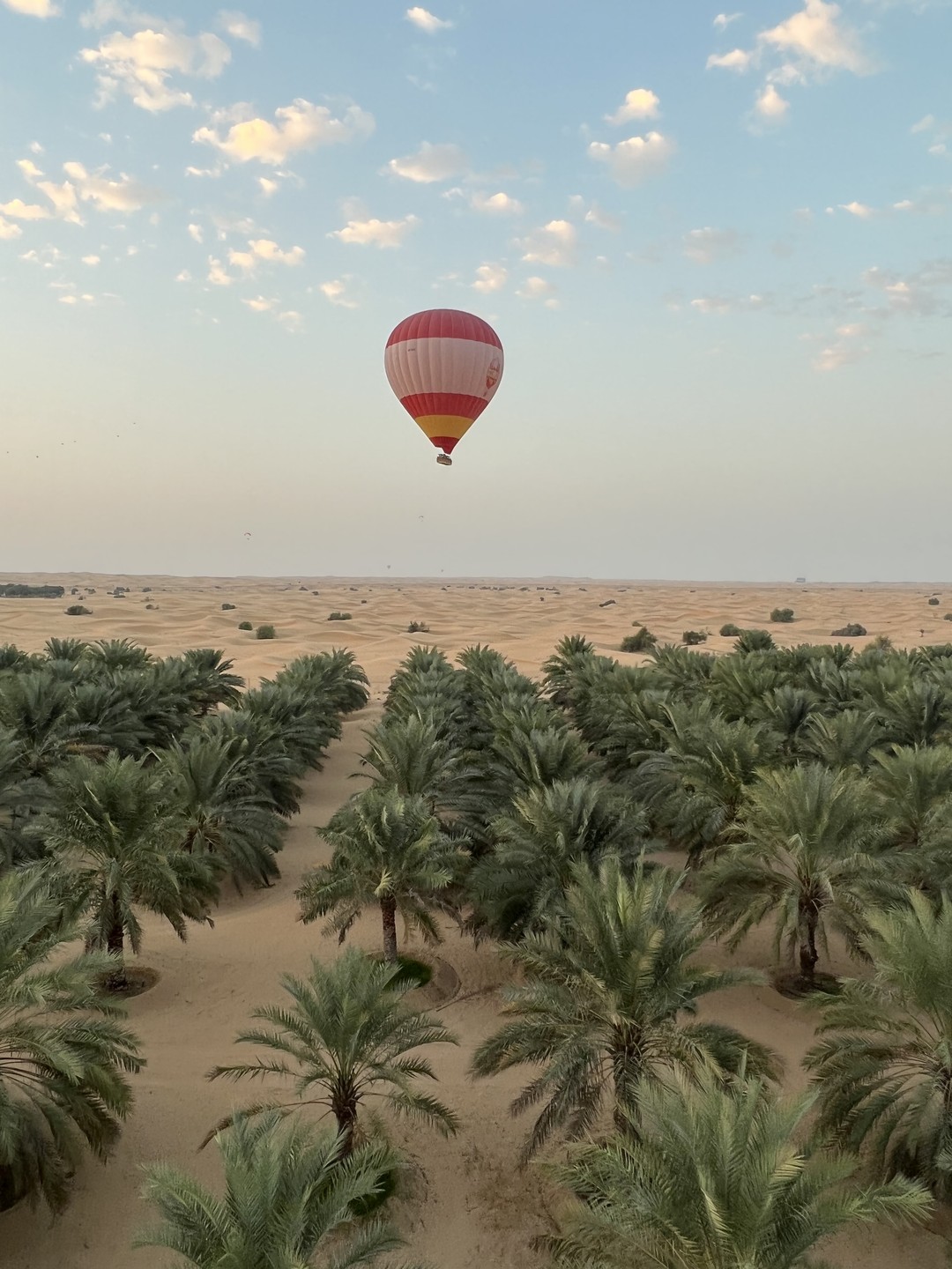 Все организовано прекрасно! От встречи до возвращения в отель! Впечатления от полёта на рассвете непередаваемые-очень красивые