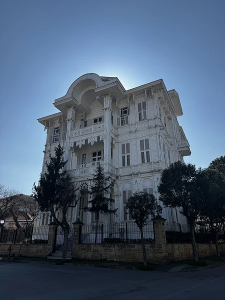 Отличный формат экскурсии для знакомства с островом Бююкада. На нем нельзя передвигаться на обычных автомобилях. Только