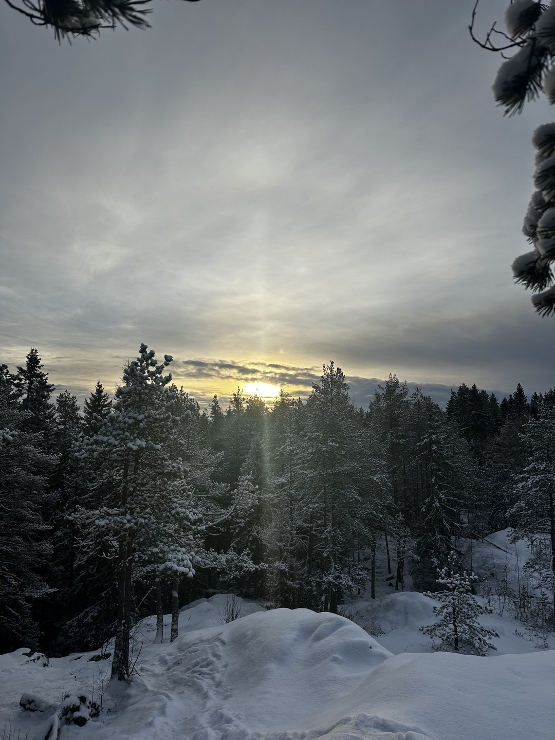 Спасибо Сергею за прогулку и подробный рассказ! Была возможность насладиться пейзажем не спеша. Узнали о быте