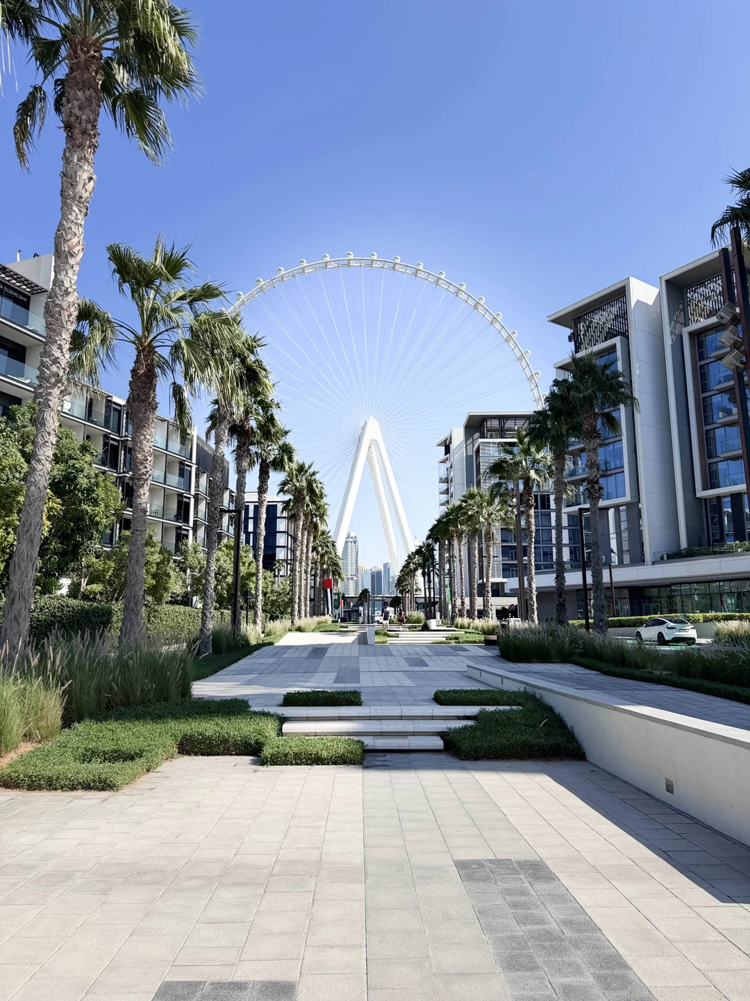 Брали обзорную экскурсию по Дубаю. Гид рассказал все хорошо и подробно, на любые вопросы отвечал легко и быстро