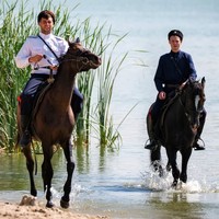 Кто такие казаки