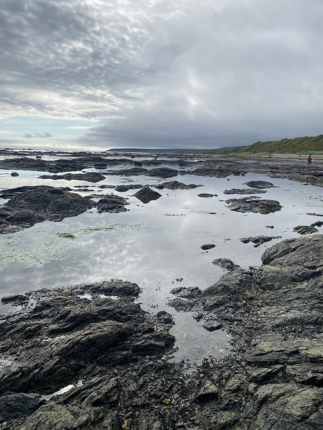Побывав на экскурсии с гидом/водителем Дмитрием мы действительно открыли для себя остров Сахалин, узнав его историю