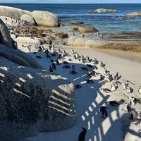 Фото отзыва 2: экскурсия "Кейптаун и Мыс Доброй Надежды — путешествие на край света"