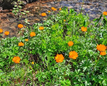 Каменный город со стражами