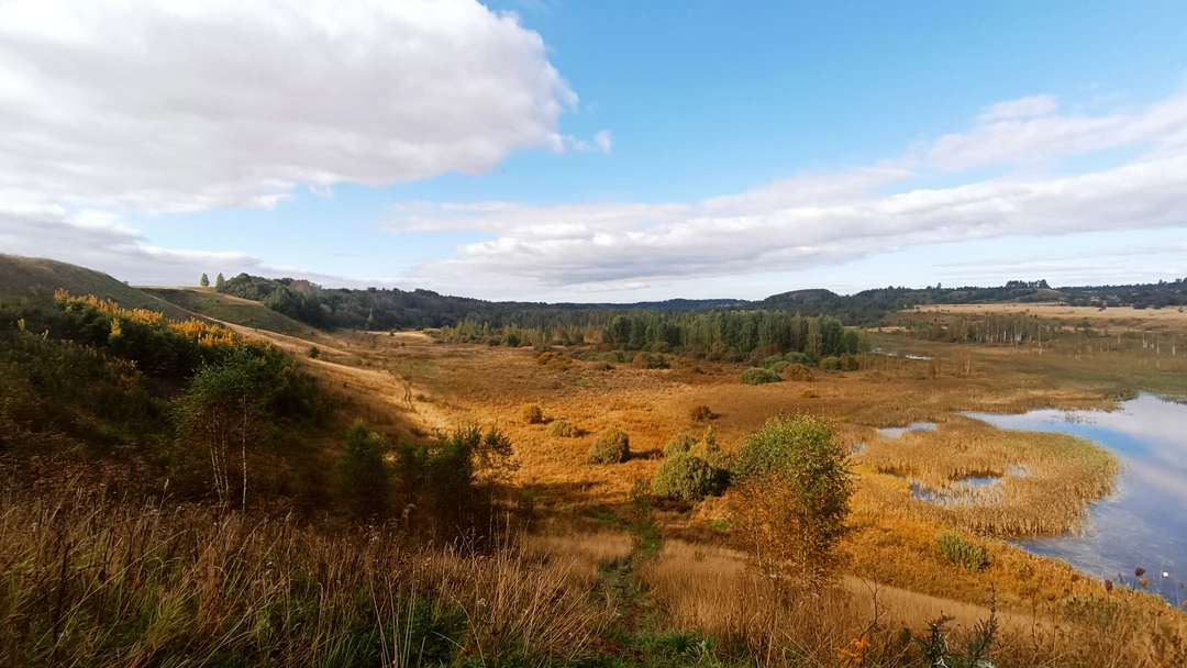 Пишу поздний отзыв на экскурсию! Но нужно было пережить, подумать и понять свои ощущения после поездки!!!
