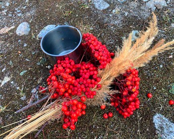 Пикник с травяным чаем у Жемчужного водопада