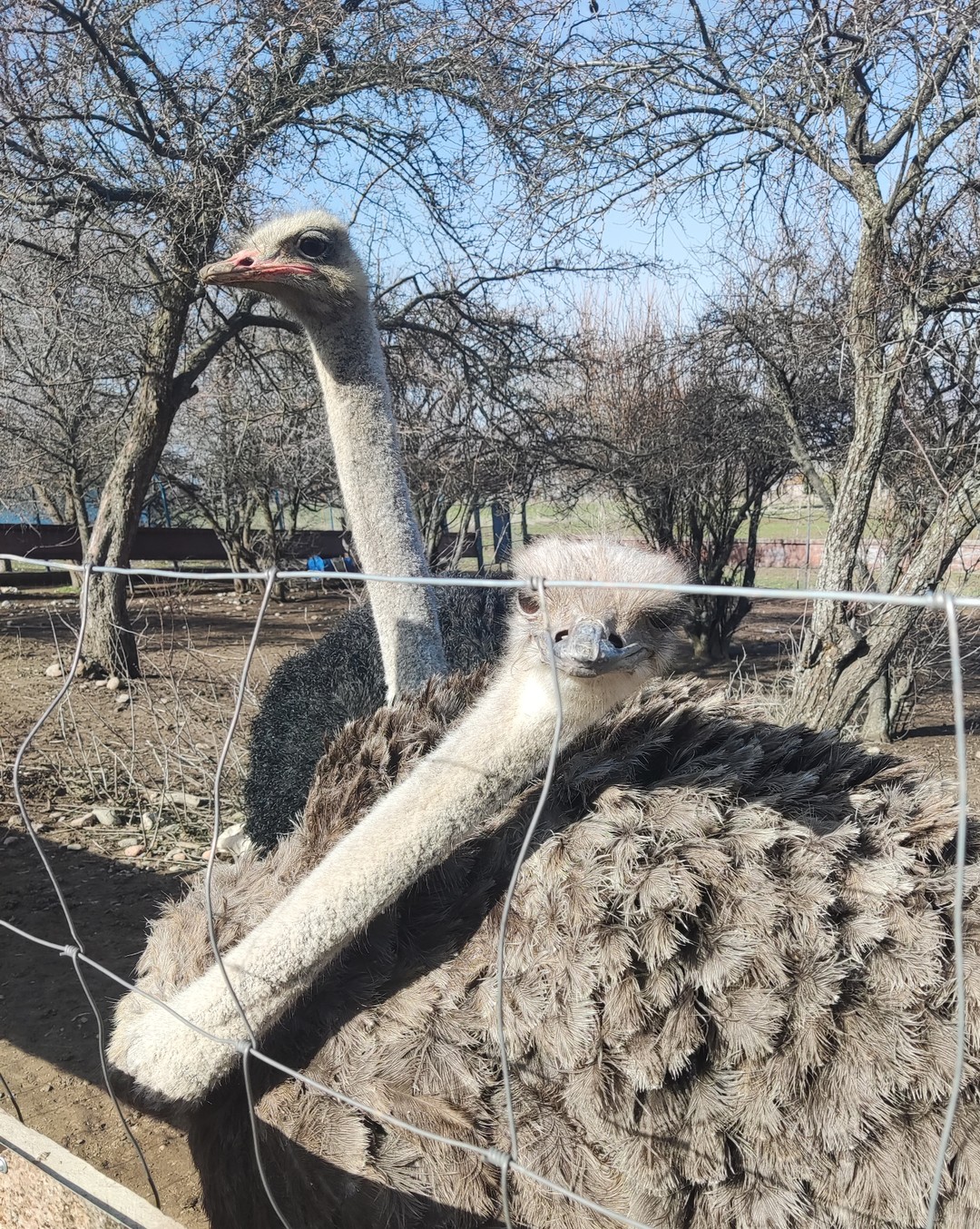 Всё прошло просто отлично! Огромная благодарность Лидии и моему замечательному гиду Мураду!