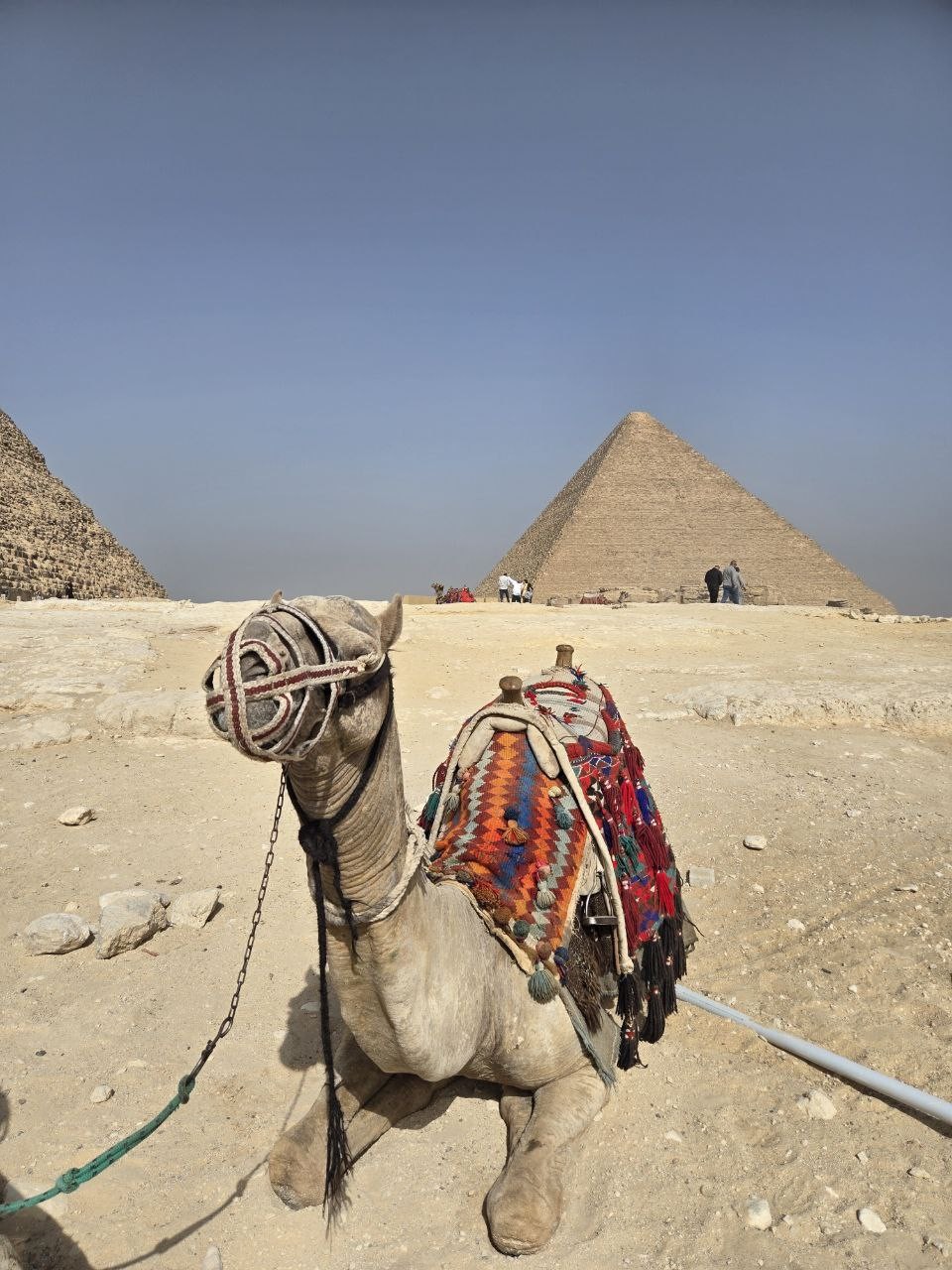 Каир, каким его мало кто видел: Гиза, Саккара, Дахшур и Мемфис (Олеся)