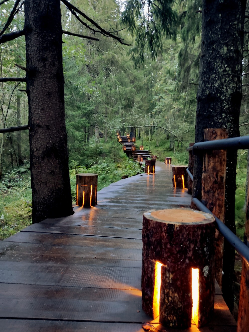 Свидание с Карелией (из Петербурга) (16/17)