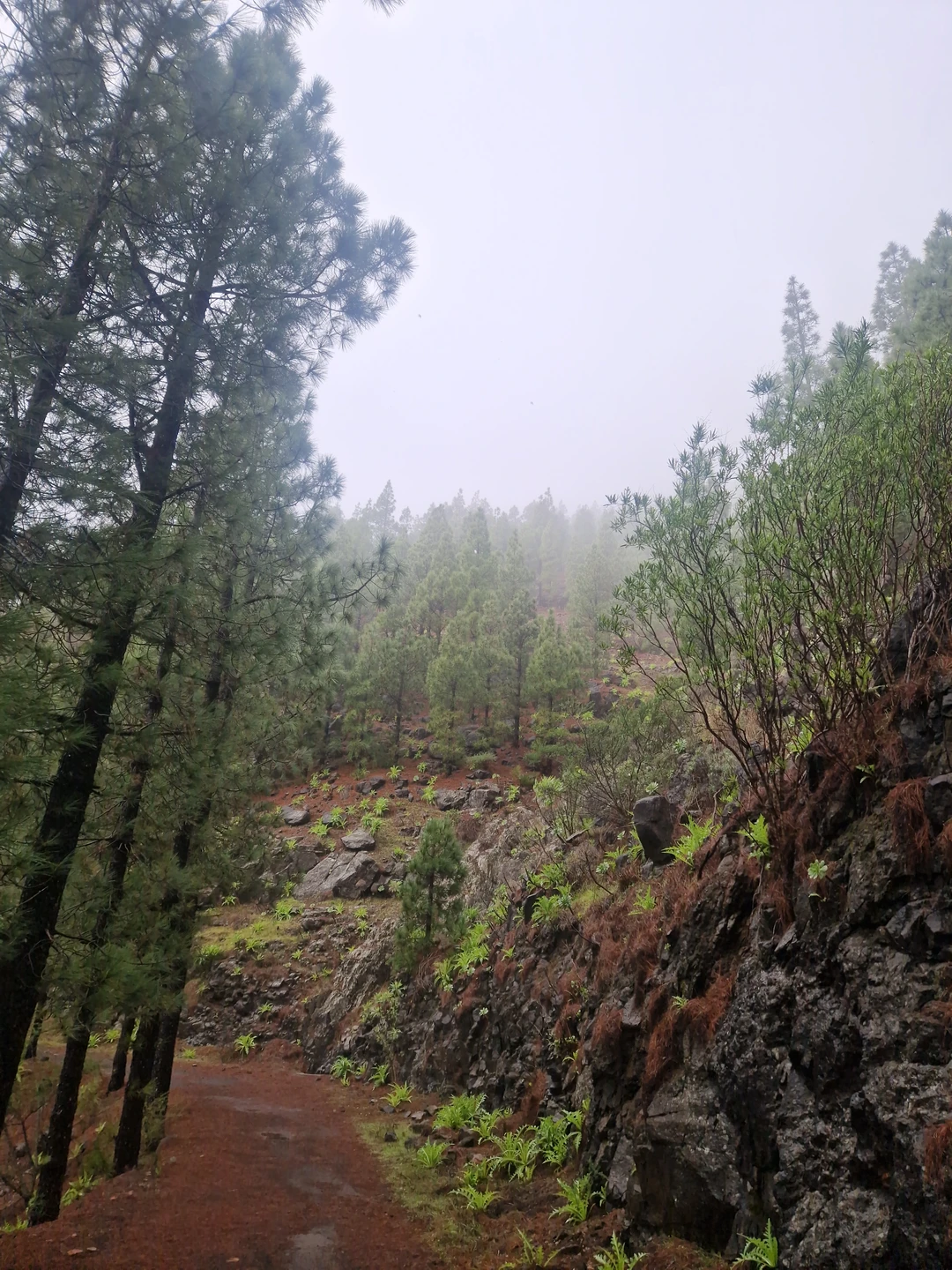 Огромное спасибо гиду Евгению не только за интересные рассказы, хороший маршрут, но и за продуманность- мы