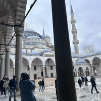 reviews img