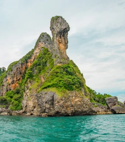 Чикен Айленд