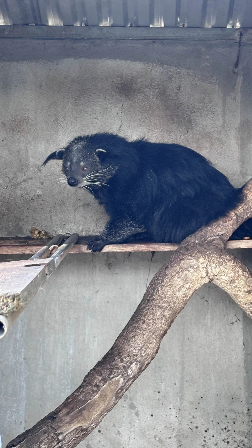 С Диной мы провели вместе целый день и на протяжении всего нашего путешествия не было скучно