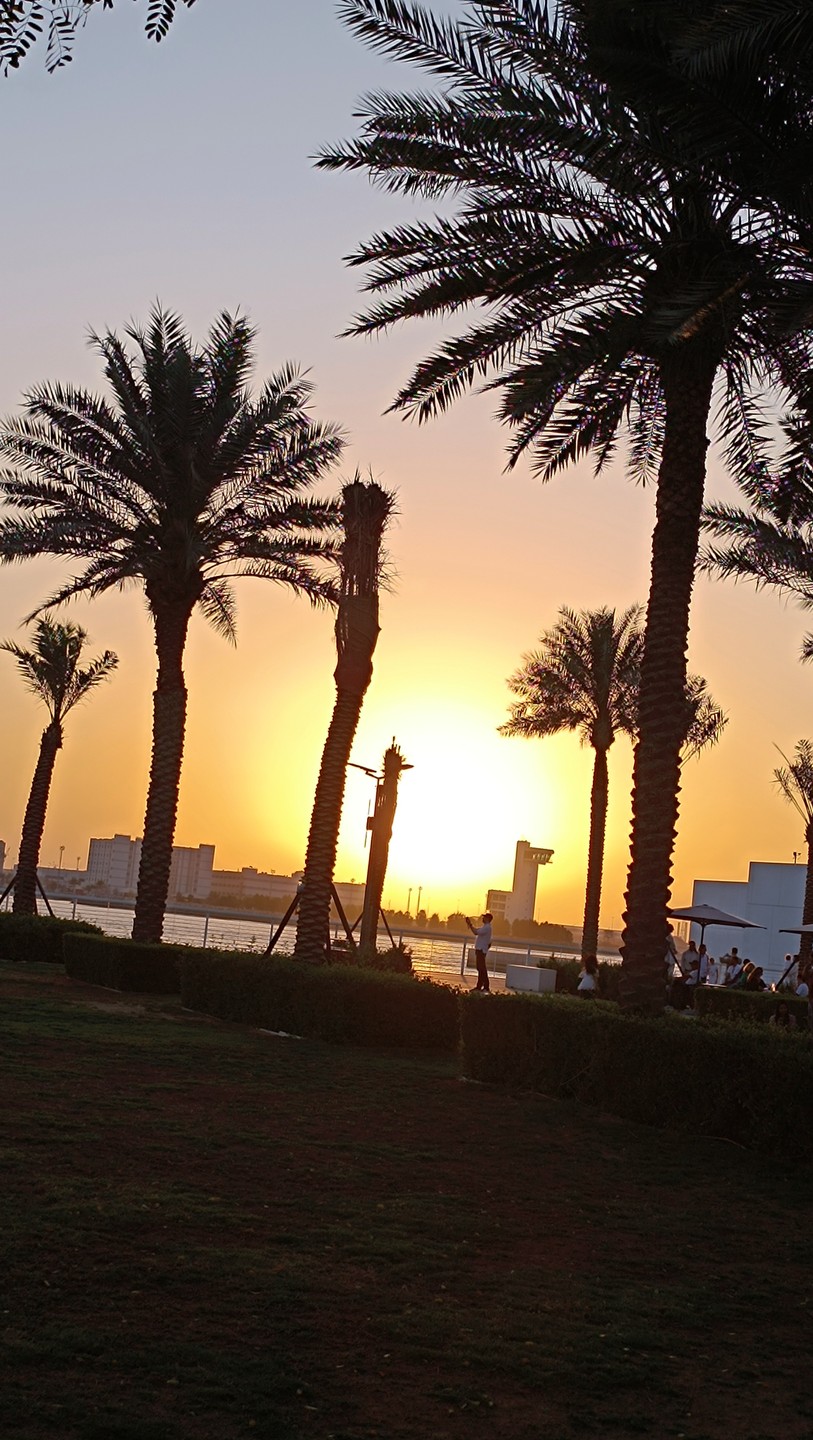 Экскурсия была насыщенной. Впечатлений масса. Некоторые объекты проехали мимо и только из окна автобуса наблюдали. Обед