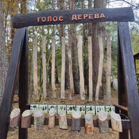 Фото отзыва 7: экскурсия "Куршская коса и Зеленоградск за 1 день (из Калининграда)"