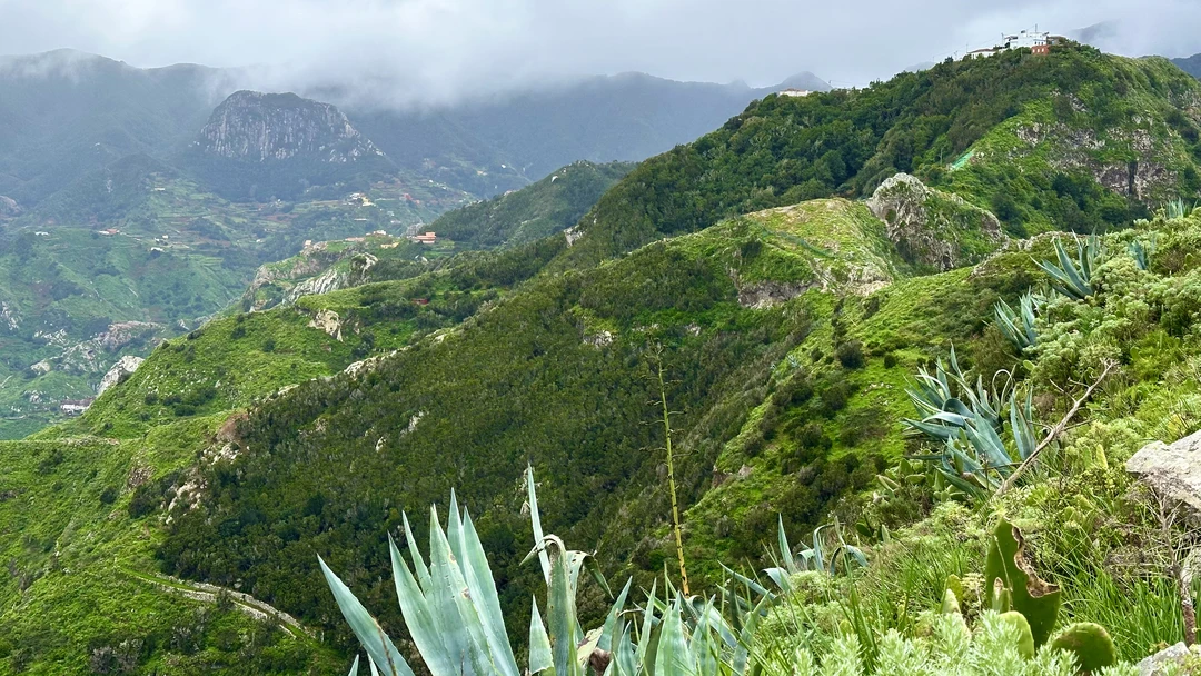 Отличный тур! Евгений — очень эрудированный и организованный гид. Он сумел объединить в одну группу совершенно