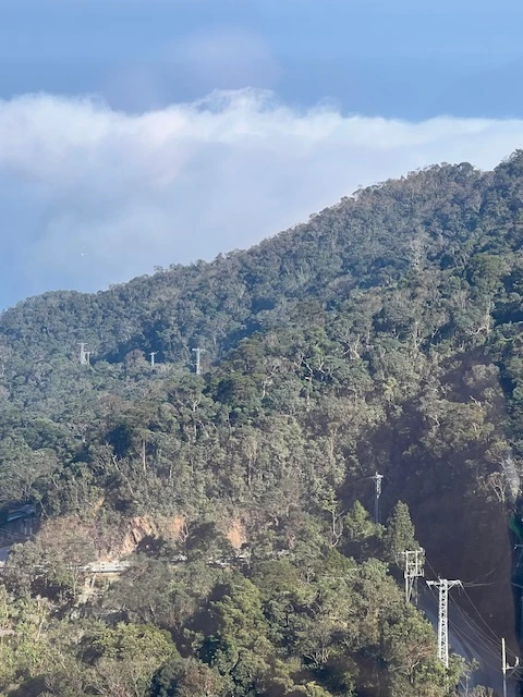 Всё было организовано отлично, время выезда мы выбрали сами, водитель был профессионал и привез на существенно