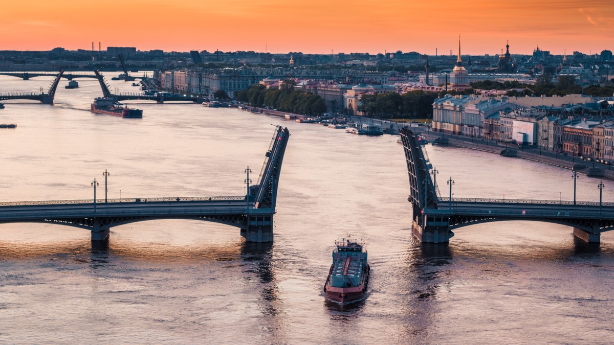 Мосты Петербурга как произведение искусства (11/15)