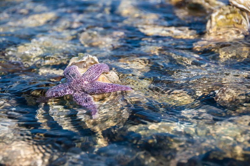 Гастрономическая групповая экскурсия в лагуну Буссе