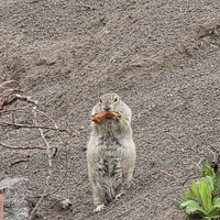 Фото отзыва 1: экскурсия "Джип-тур в Джилы-Су из Железноводска"