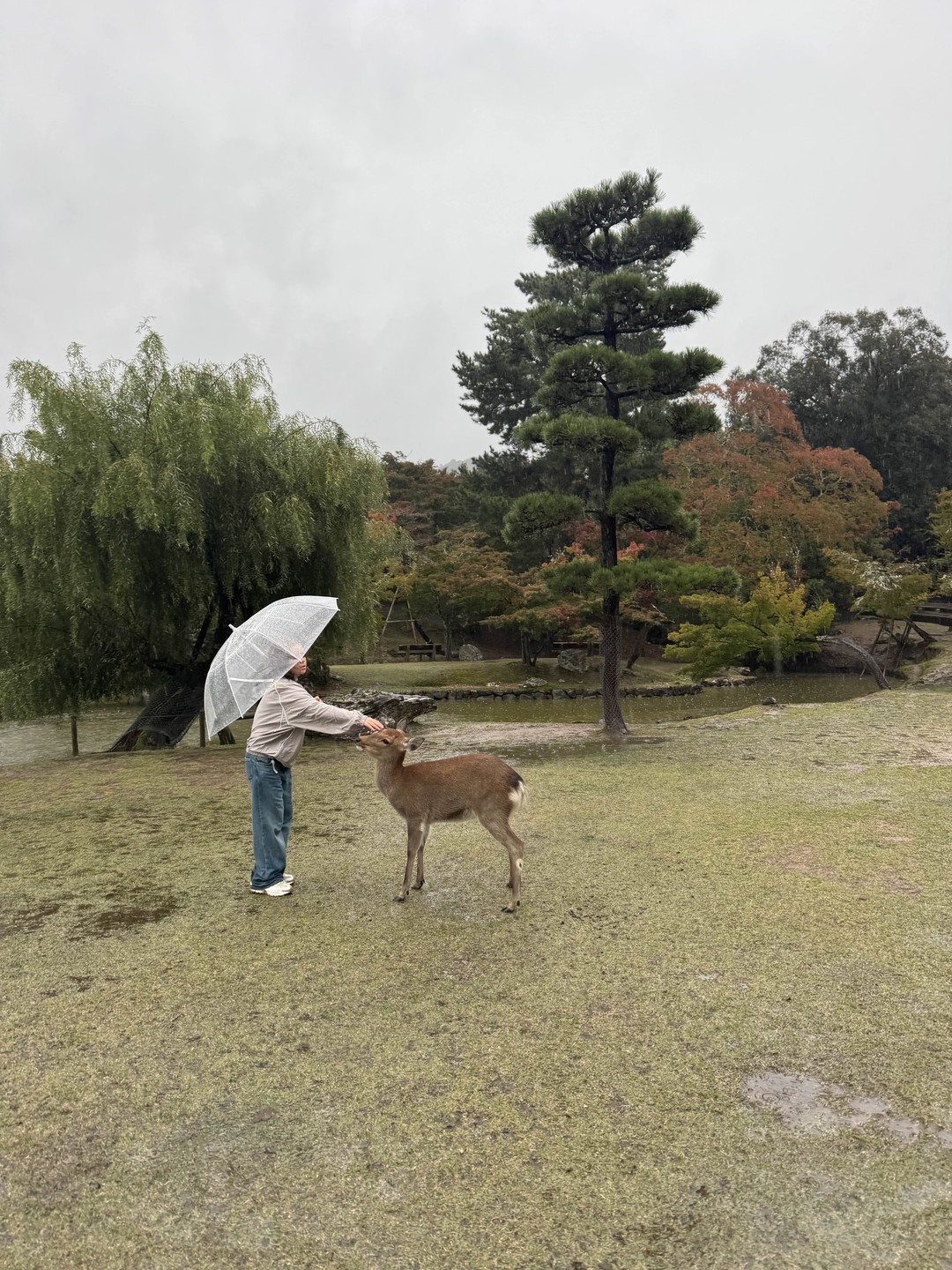 Погода была не самой комфортной, но Ирина сделала это незаметным для нас. Спасибо