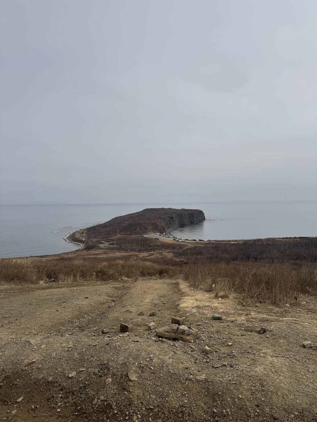 Морские деликатесы острова Русский (Ирина)