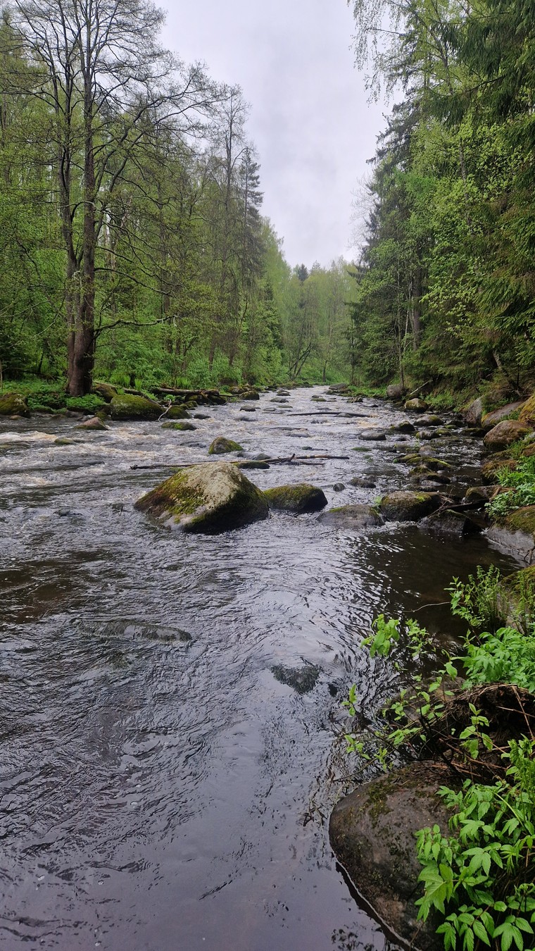 За рассветом в Линдуловскую рощу — из Питера (11/13)