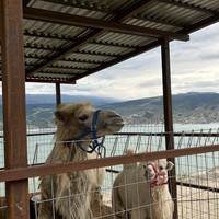 reviews img