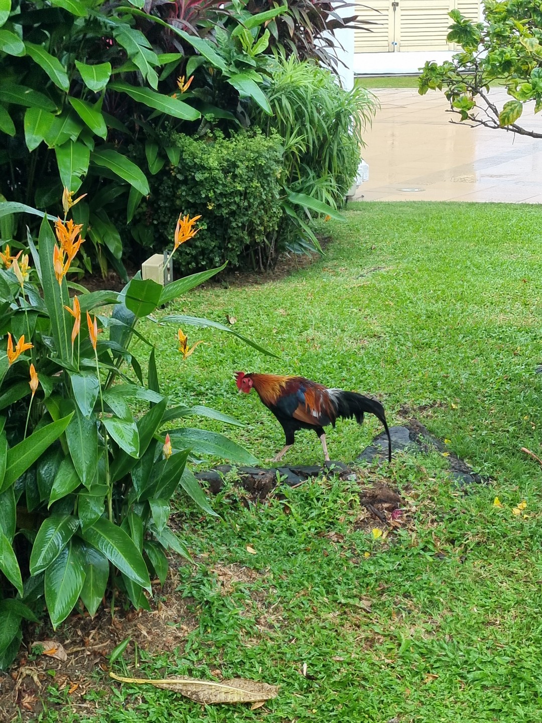 Большое спасибо гиду Марине за невероятно интересную и познавательную экскурсию!