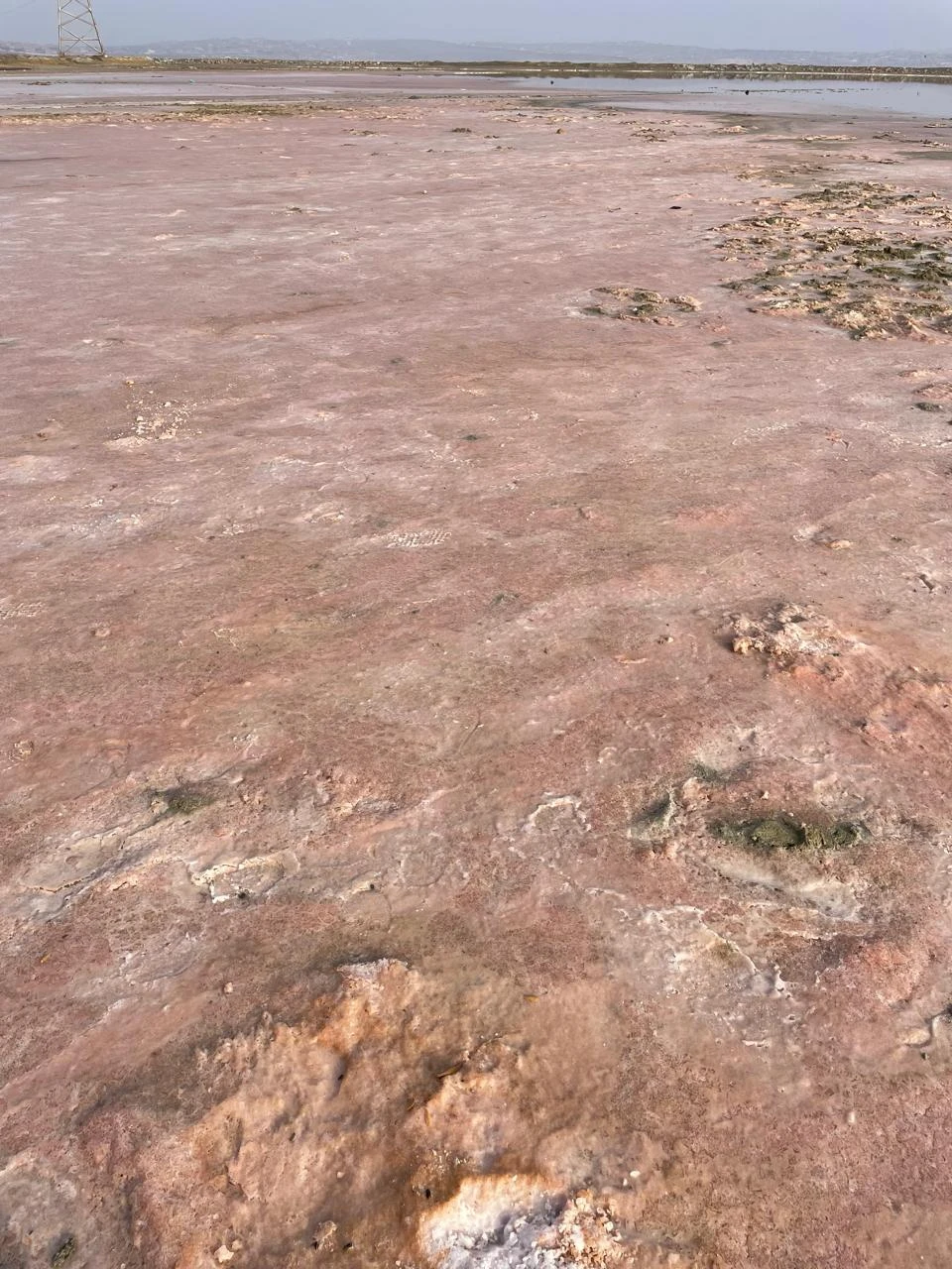 Отличная экскурсия, которую для нас провел гид Лачин. Большая благодарность гиду! Понравилось все: и сервис (включая