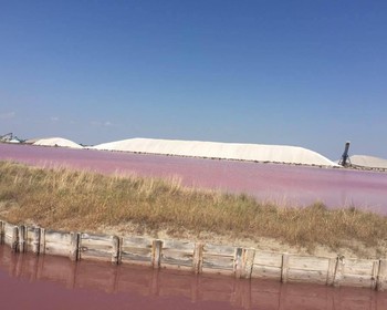 Устричная ферма с обедом, парк «Камарг», Эг-Морт