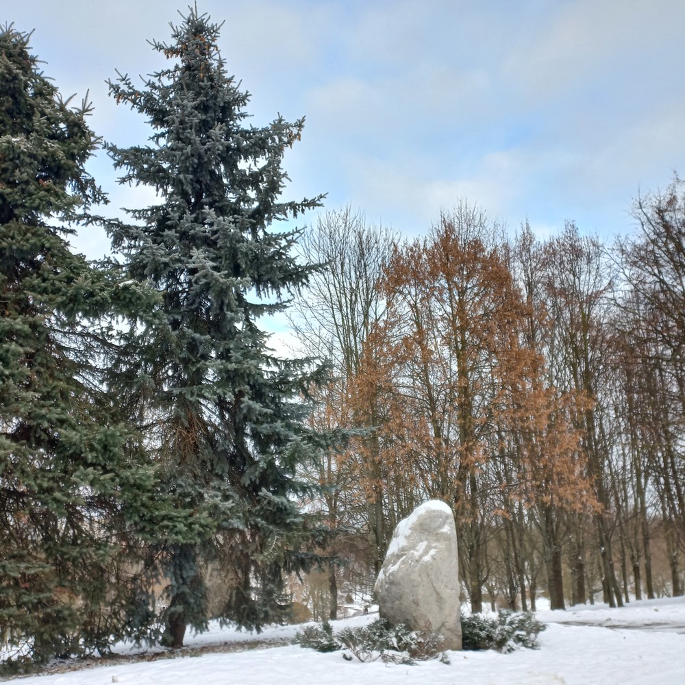Мобильный квест «Что ищет Пуаро?» в Минске (7/16)