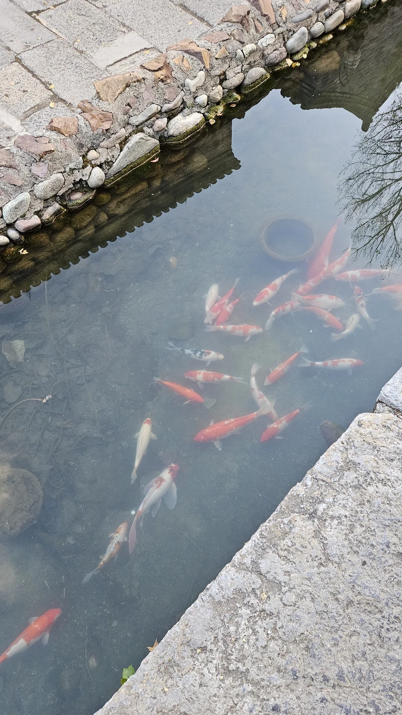 Экскурсия нам очень понравилась! Гид Олег выше всяких похвал: отзывчивый, веселый, прекрасно говорит по-русски, интересный рассказчик