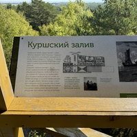 Фото отзыва 3: экскурсия "Куршская коса + немецкий форт: в мини-группе из Калининграда"