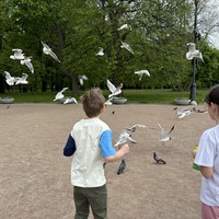 reviews img